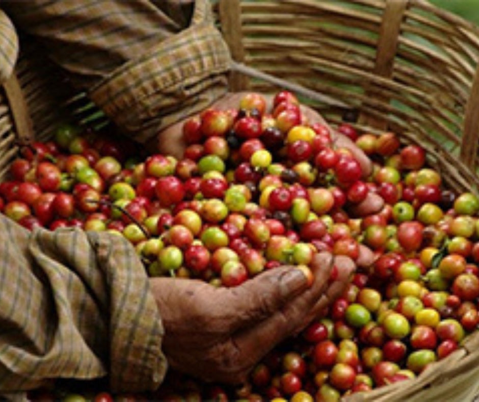 our story – the other side of coffee Images High... Our Story – The Electric Brew